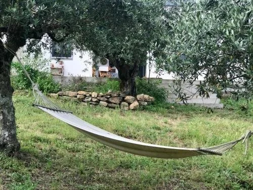 Hammock for relaxing :)