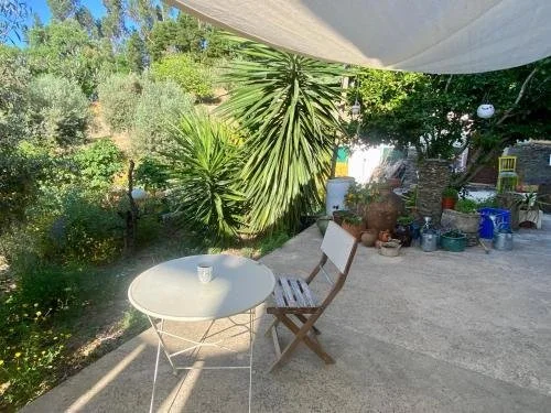 Terrace in the morning