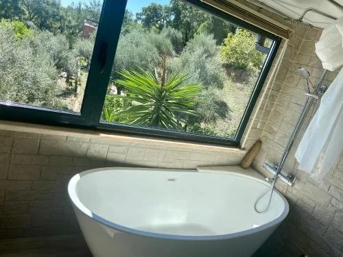 Olive Tree and Camelia Bath
