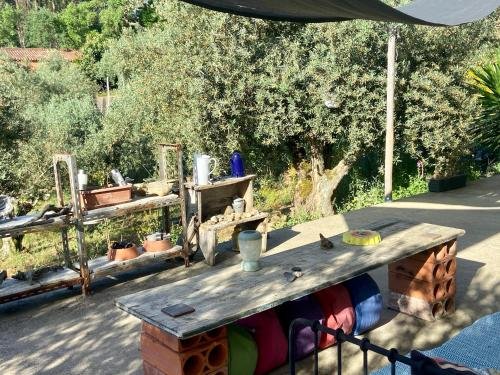 Terrace views