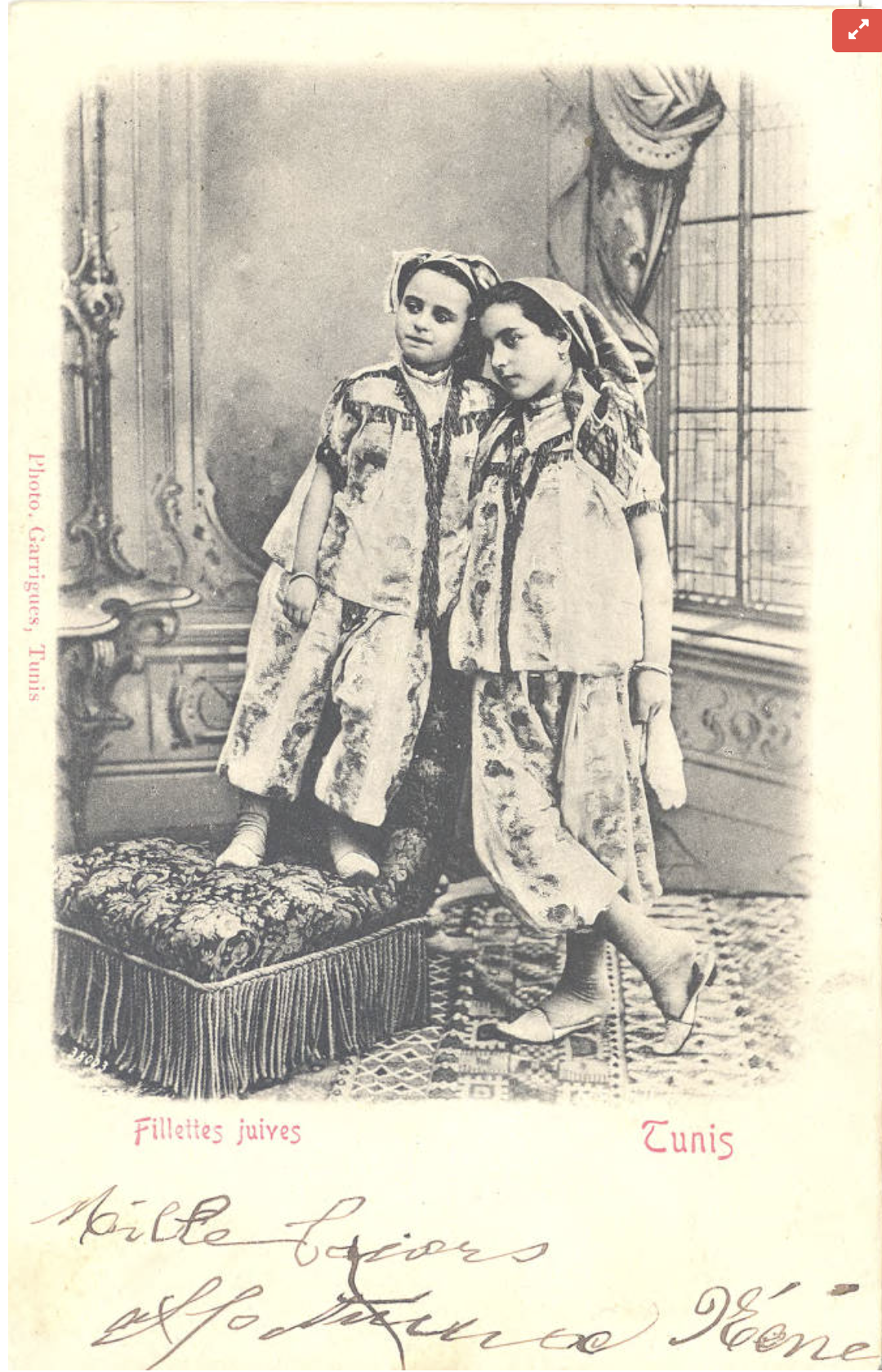 Screenshot 2026-03-03 at 5.54.04 PM.png