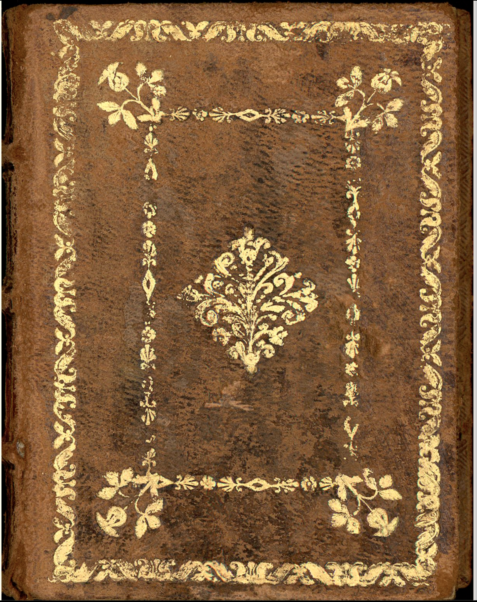 Screenshot 2026-03-03 at 5.38.37 PM.png