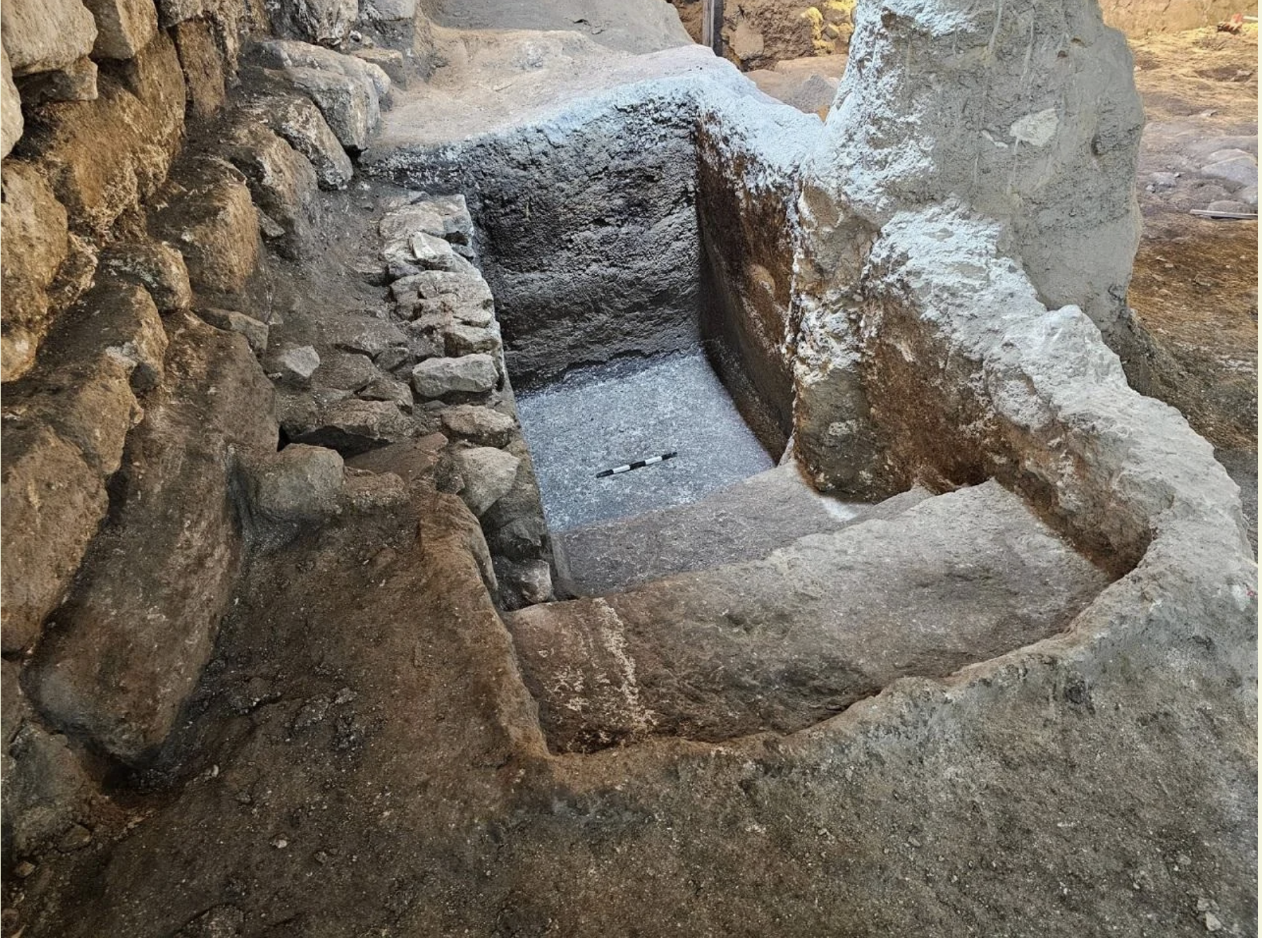 Screenshot 2026-03-03 at 5.46.17 PM.png