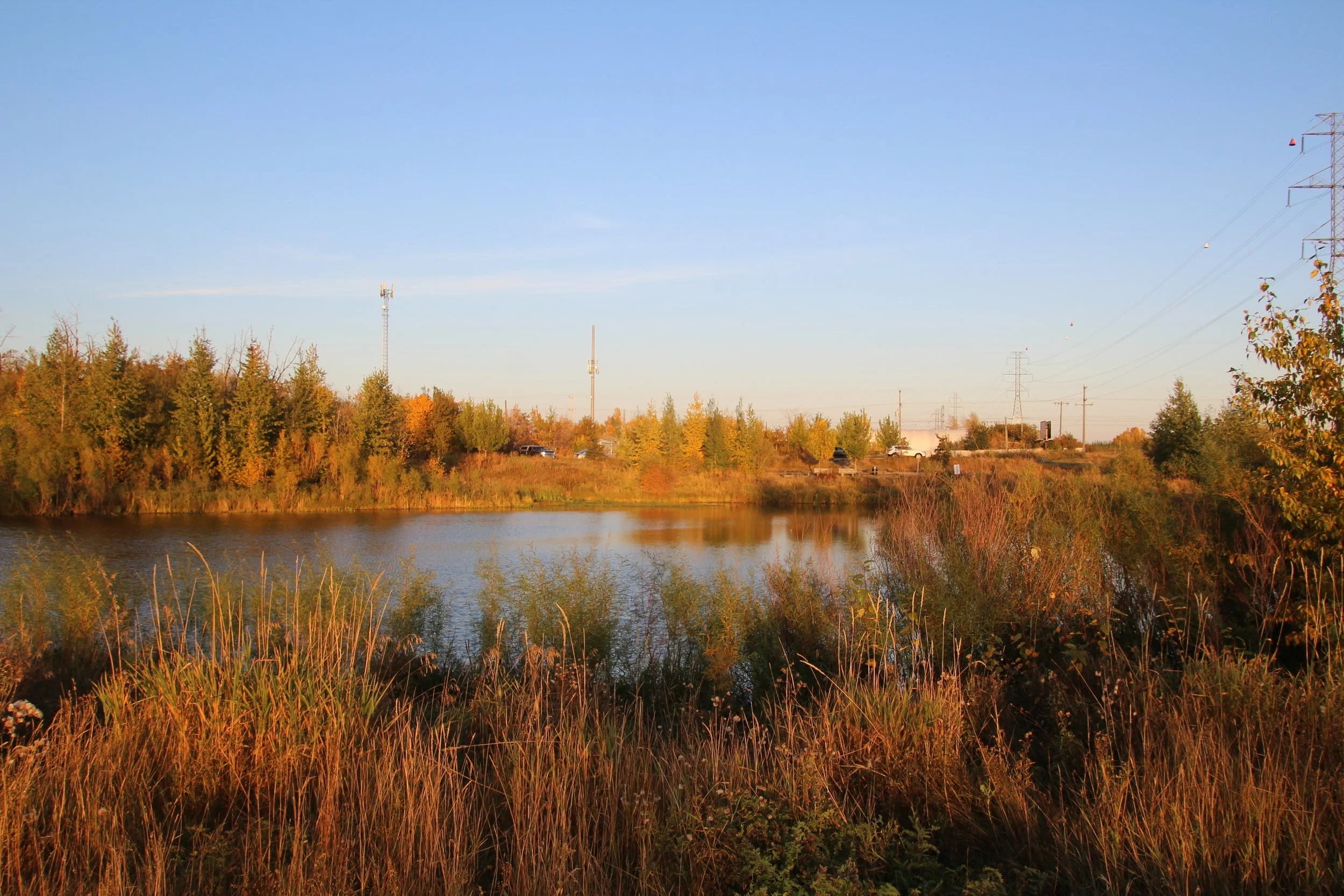 A body of water surrounded by trees and shrubs with a clear blue sky overhead, power lines, and radio towers in the distance.
