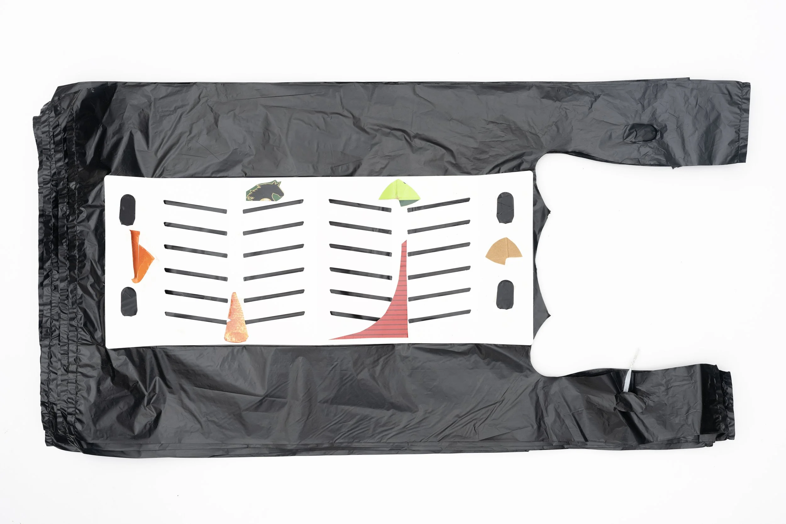 Plastic Bag_029_Front copy.jpg