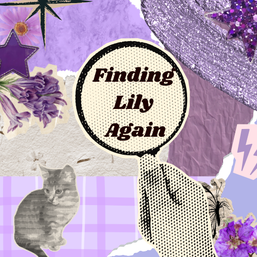 Finding Lily Again
