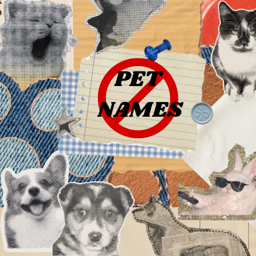 I Have Beef With Pet Names.