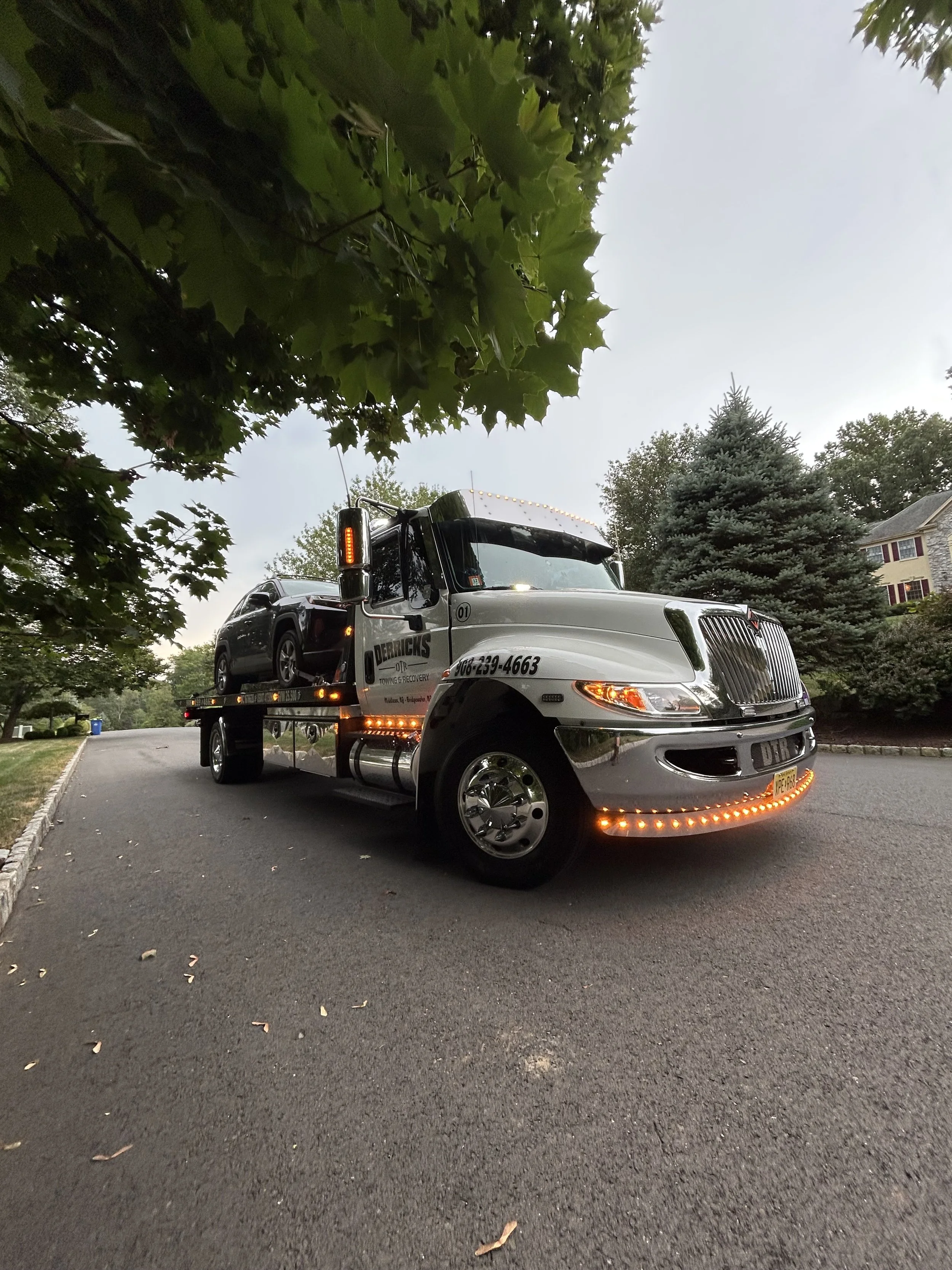 IMG_4036.jpg