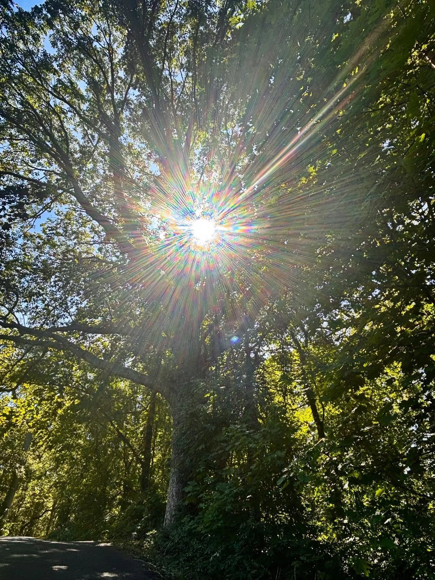 ✨💛✨