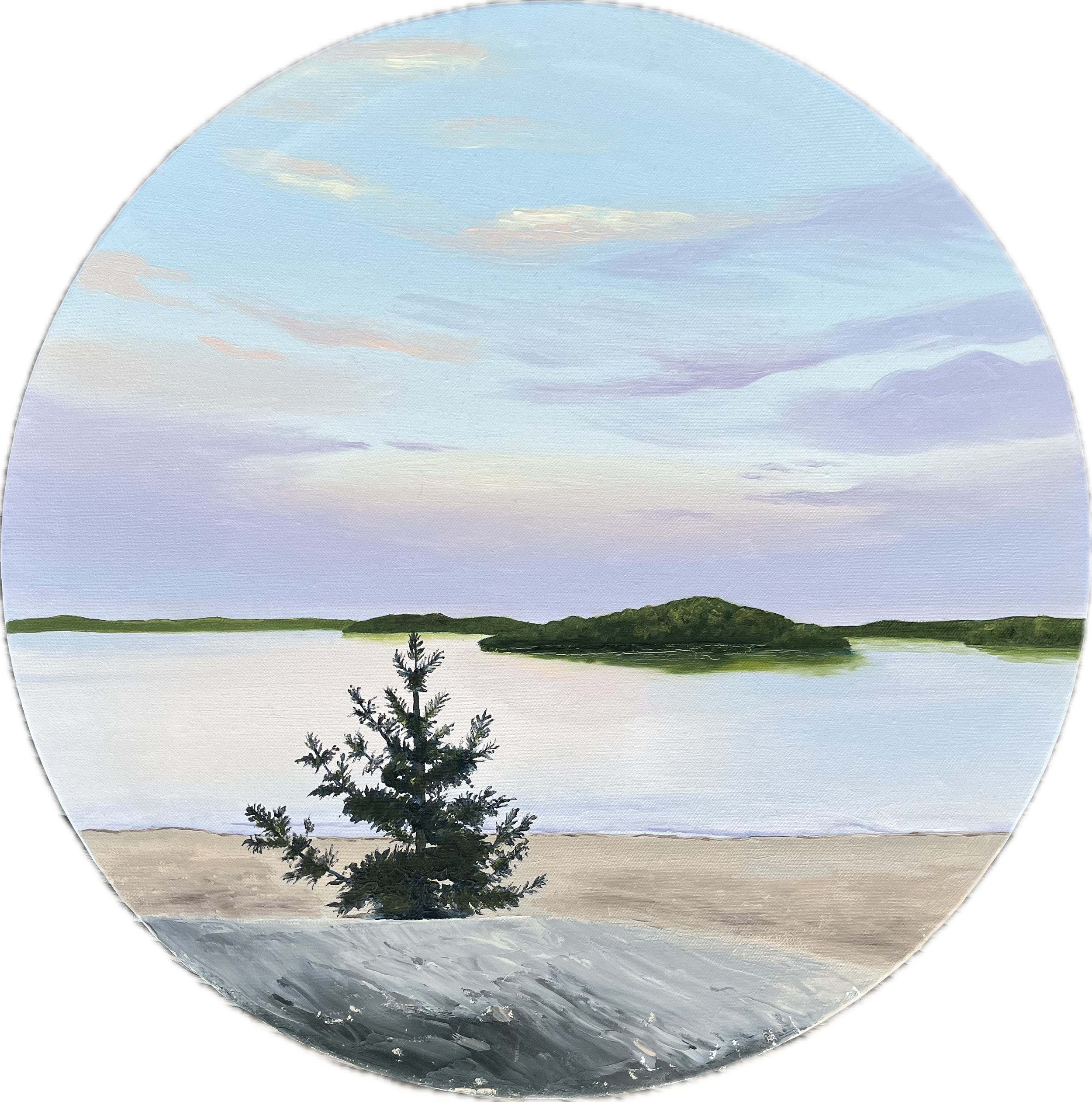 IMG_2445.png