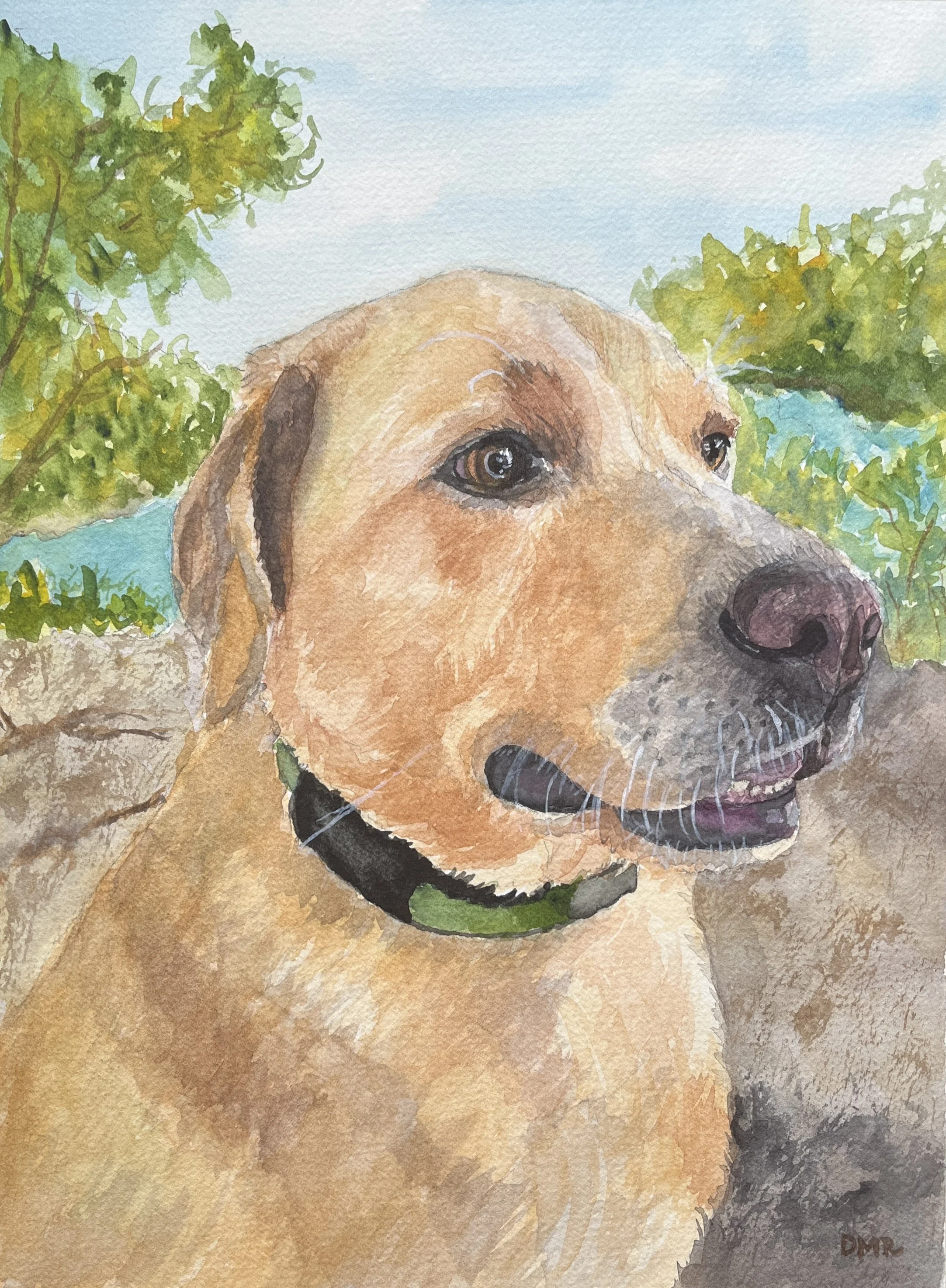 2024-Willard-Lake Needwood.JPG