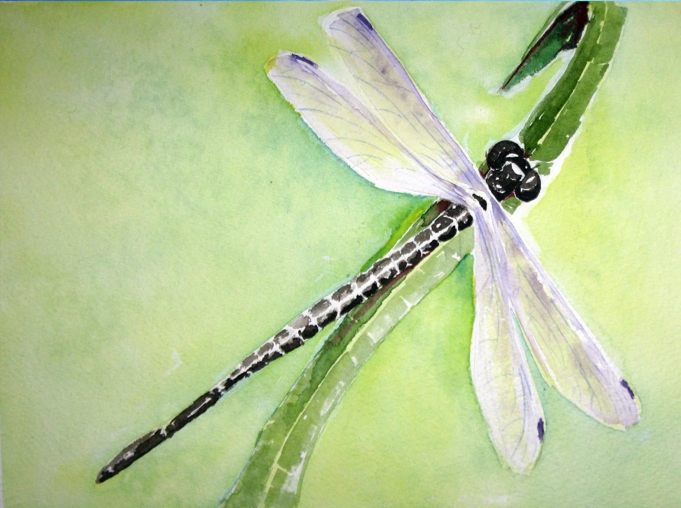 Watercolor painting of a dragonfly with transparent wings, black and white body, resting on a green leaf against a light green background.