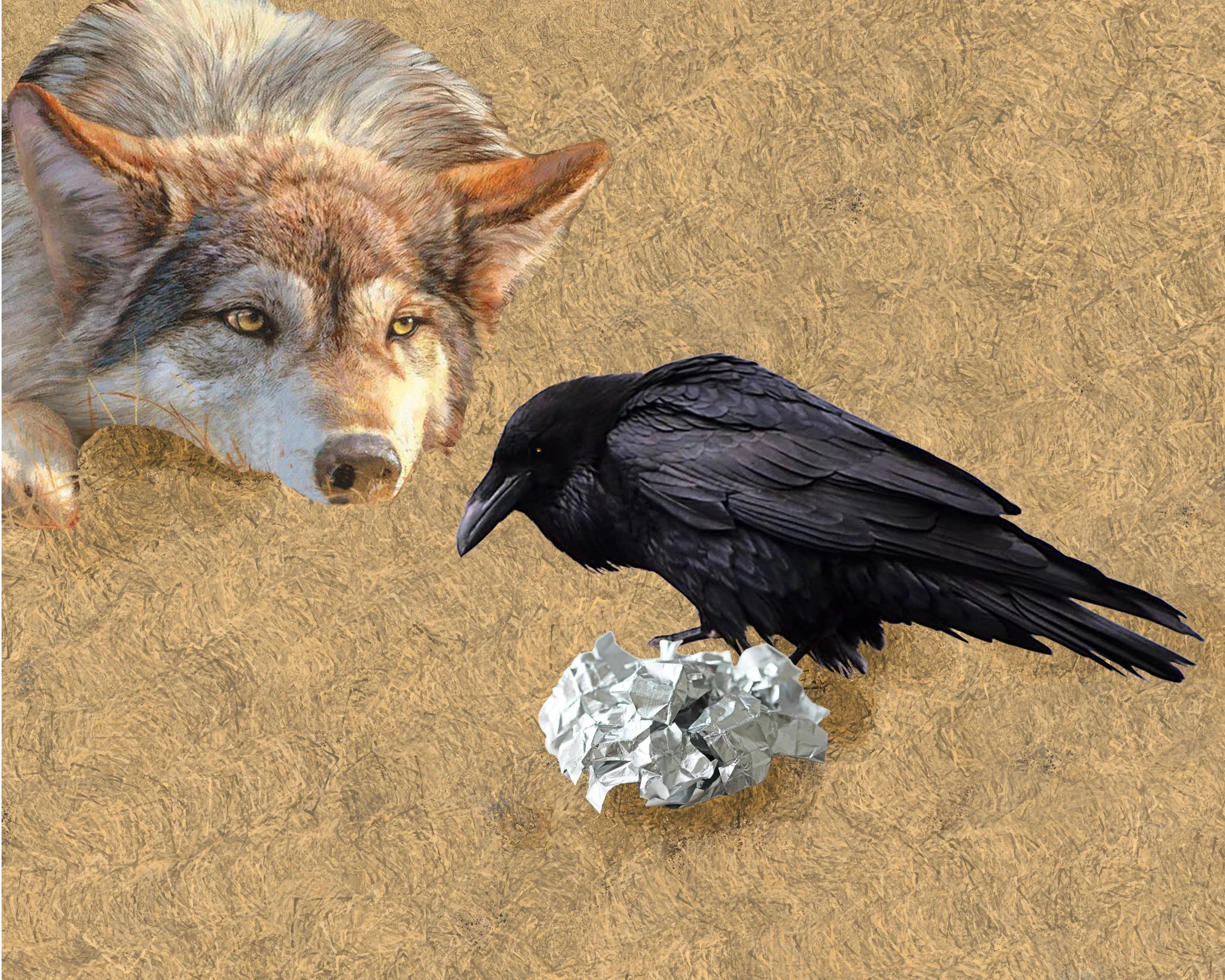 Why do you like trash?