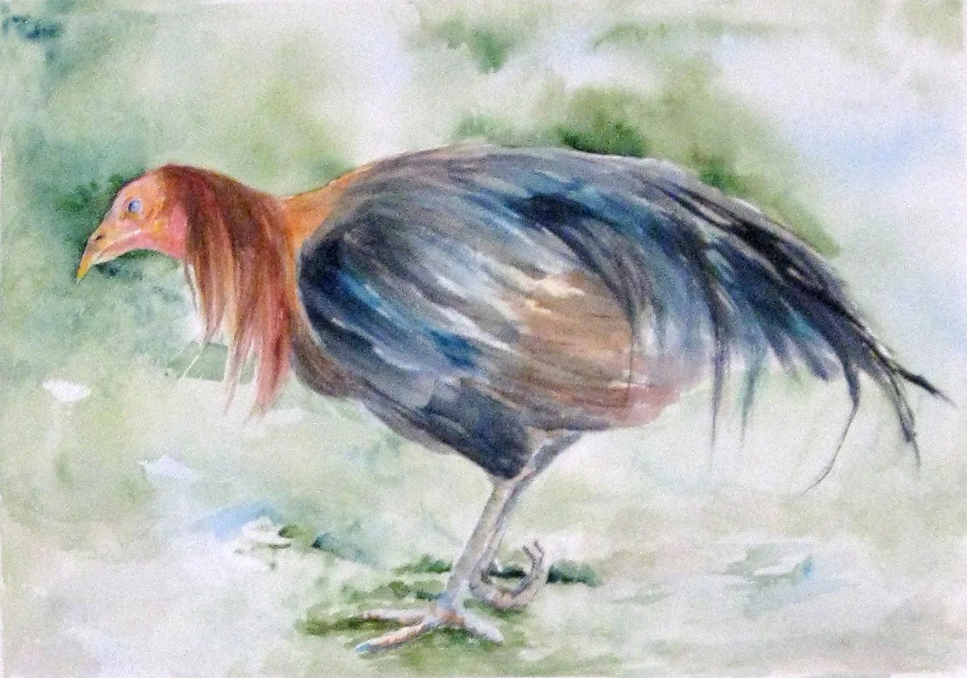 Winning Cock Dreams