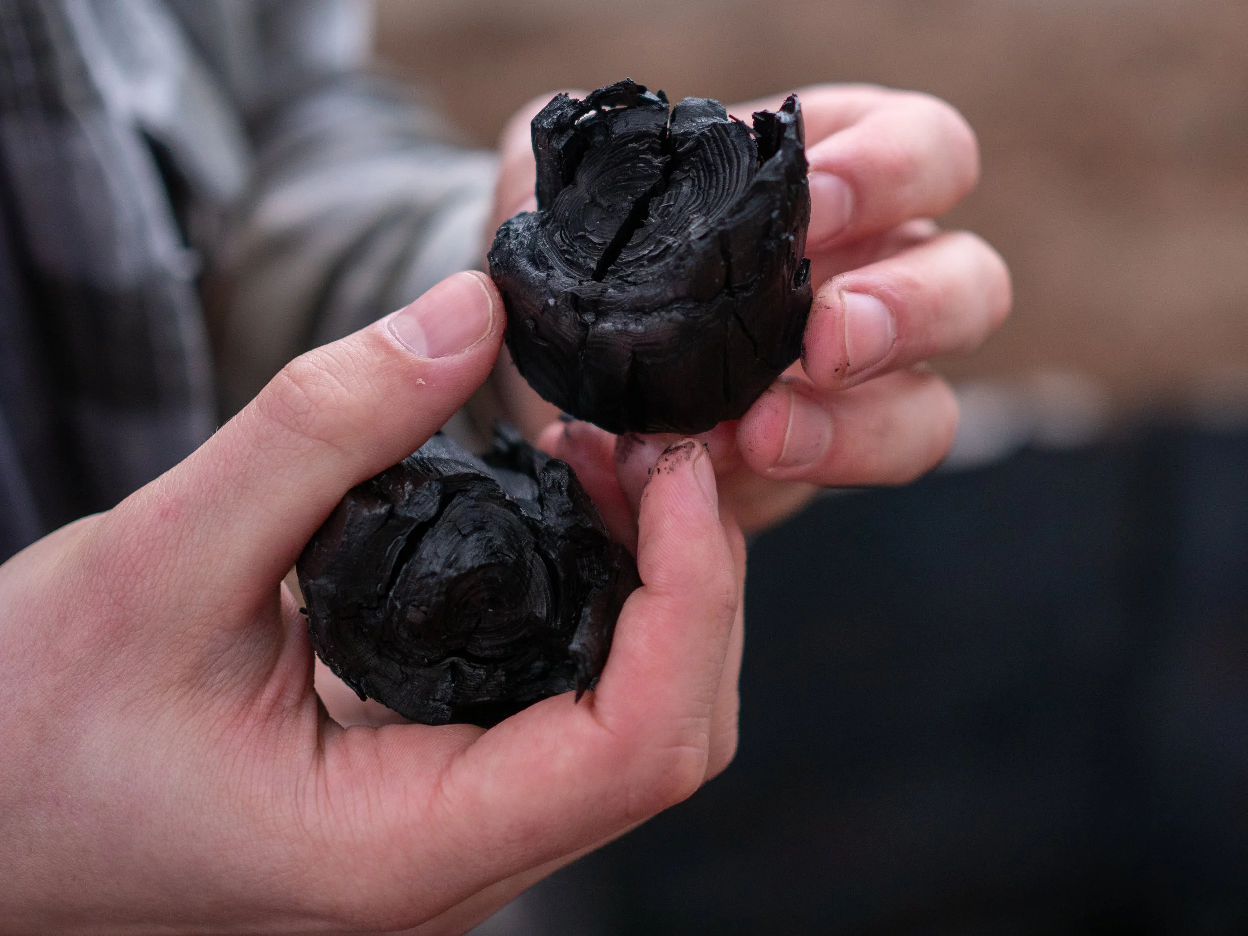 Two hands holding chunks of fresh black biochar.