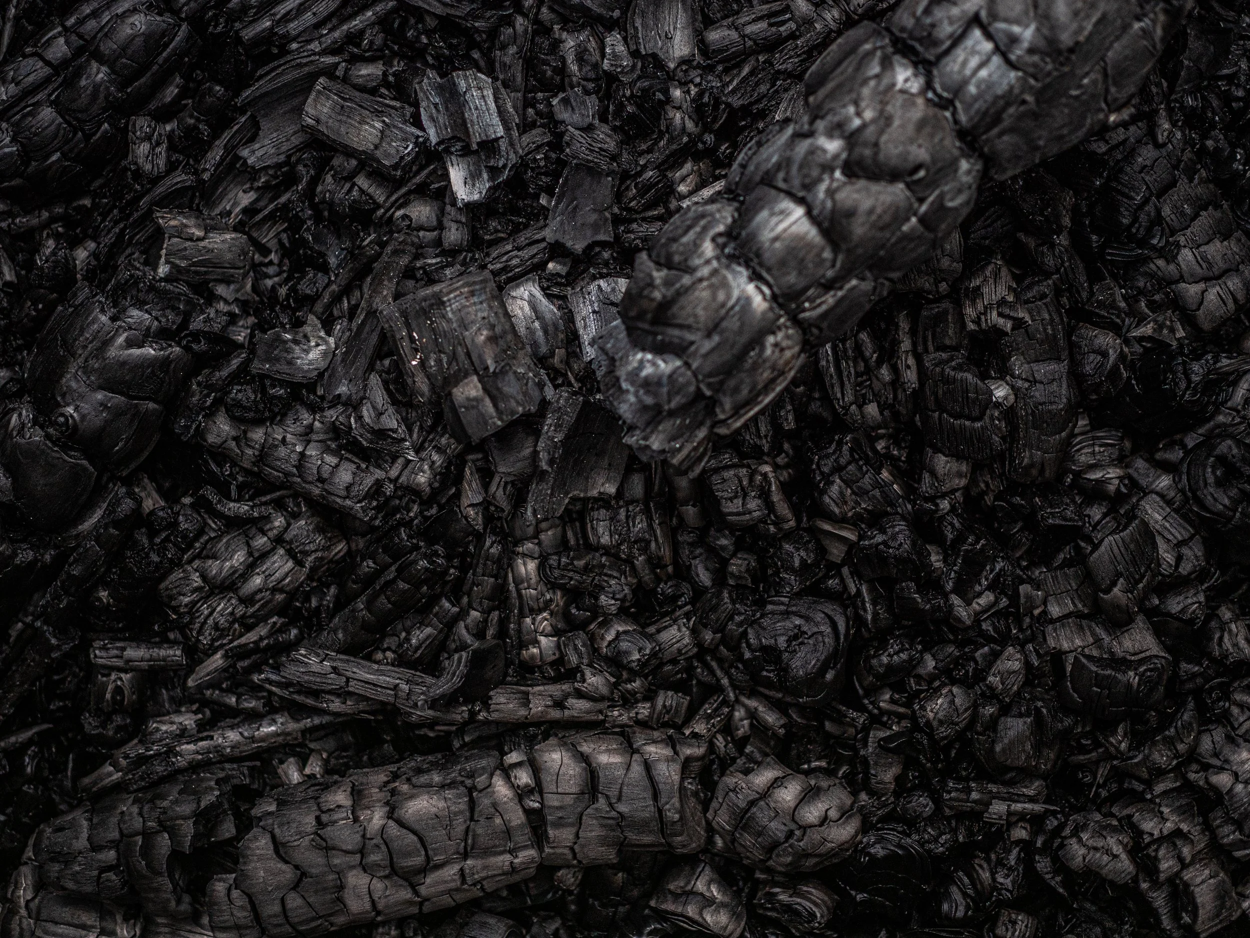 Close-up of fresh biochar pieces with a textured, cracked surface.
