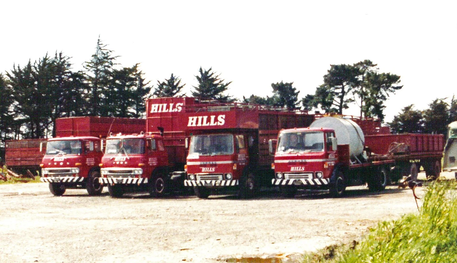 hillsfour 017.jpg