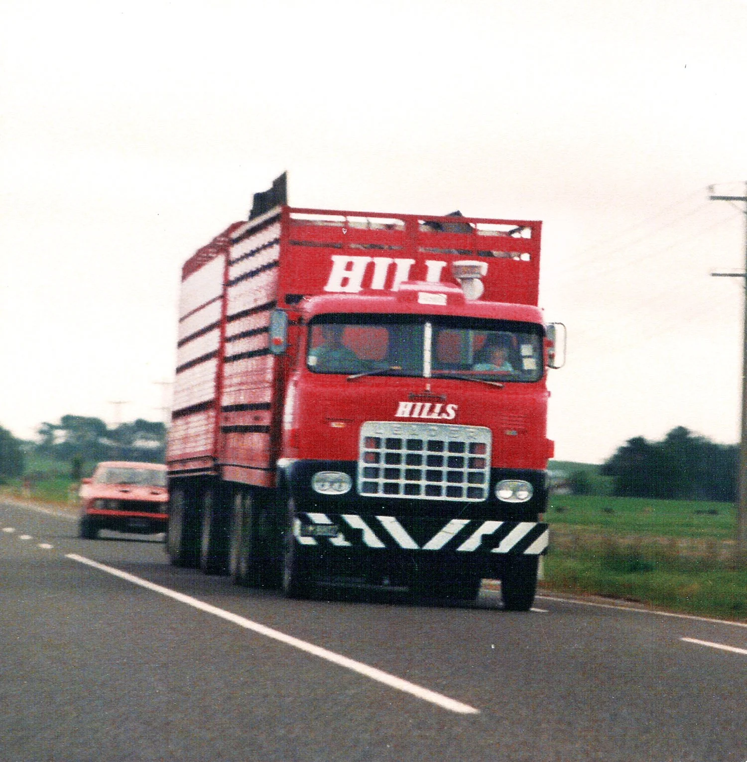 hillsfive 019.jpg