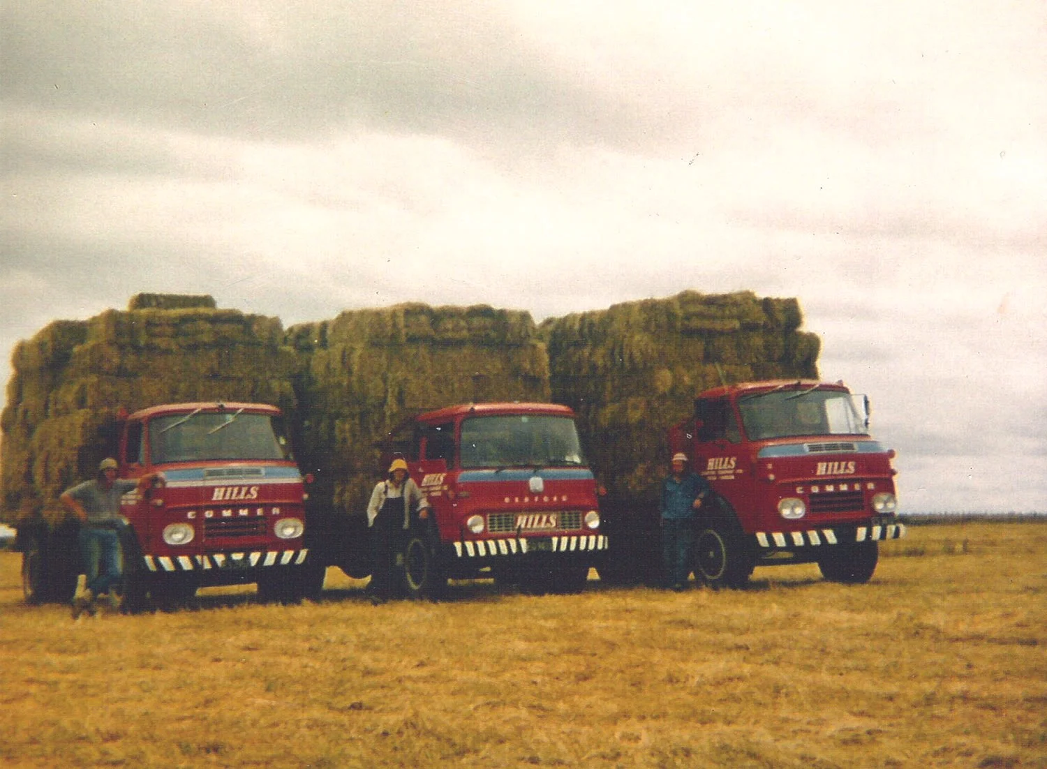 hillsfive.jpg