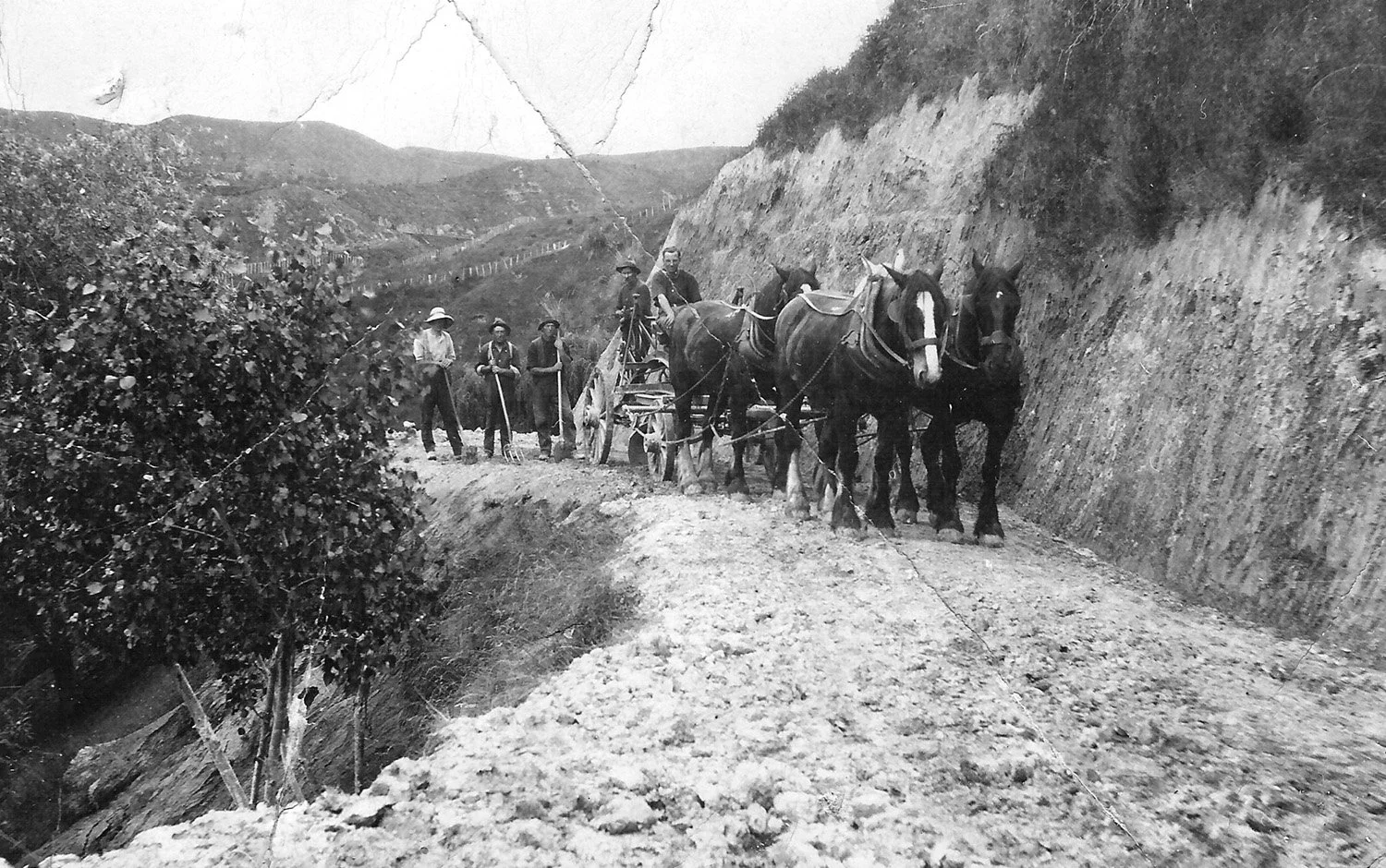 Rollin-wheels-Hills-Carrying-horses-3.jpg