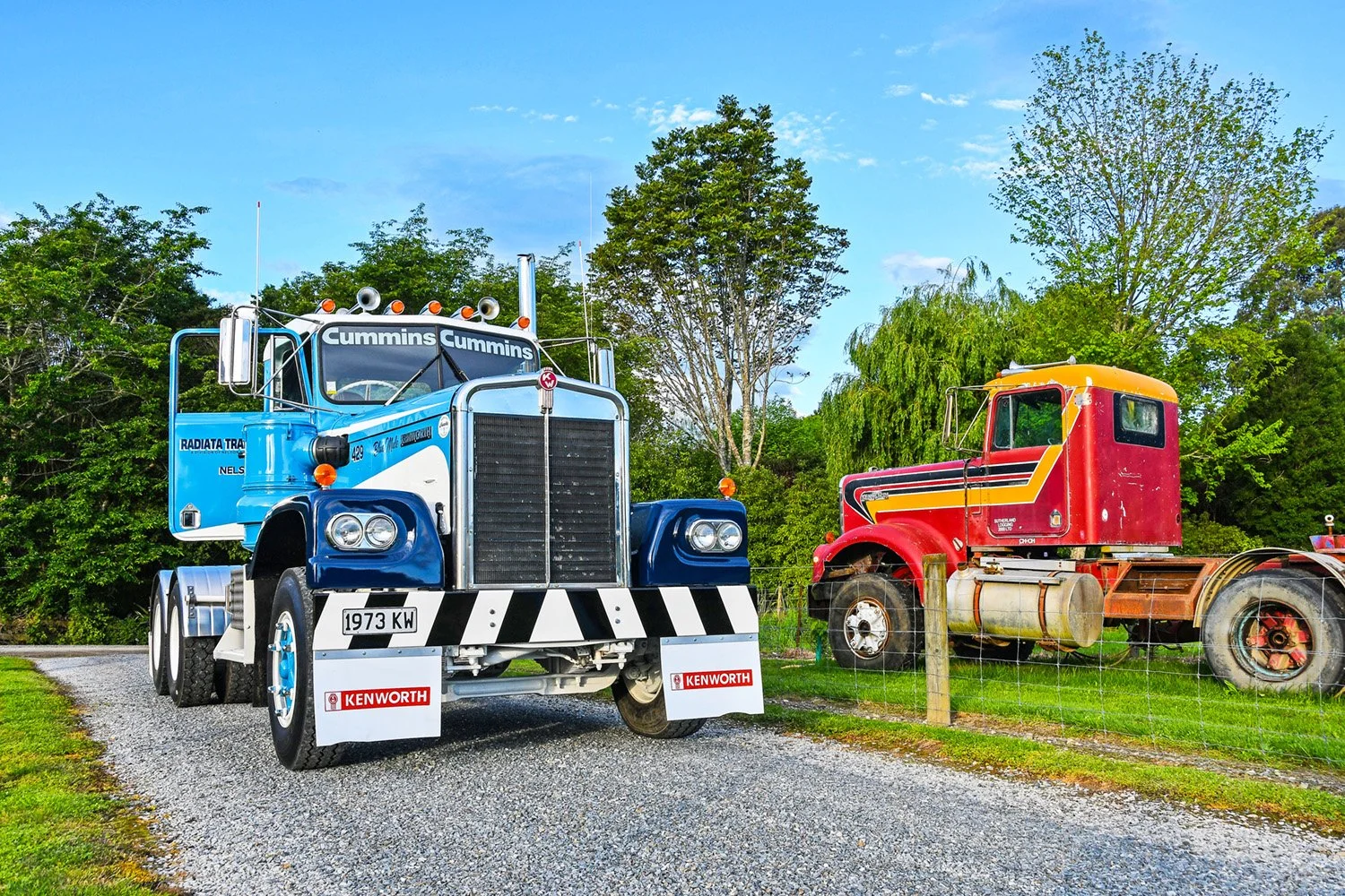 A two tone blue and white truck sitting on grass with trees in the background