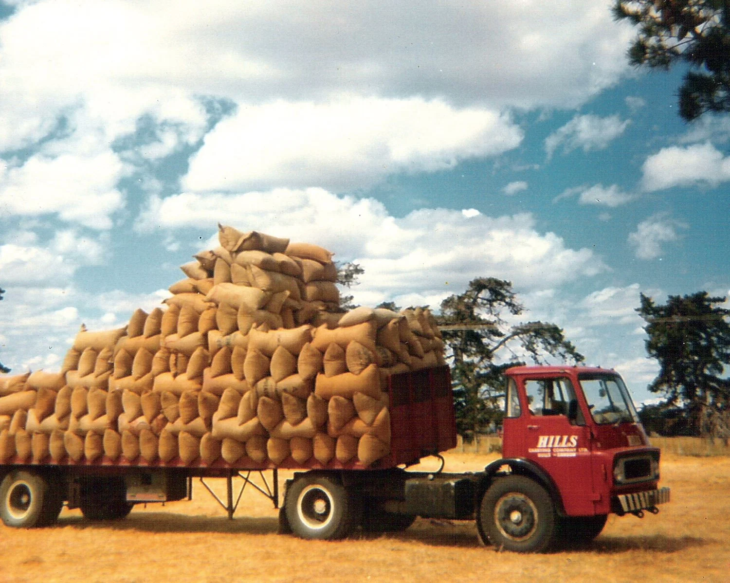 hillsfive 004.jpg