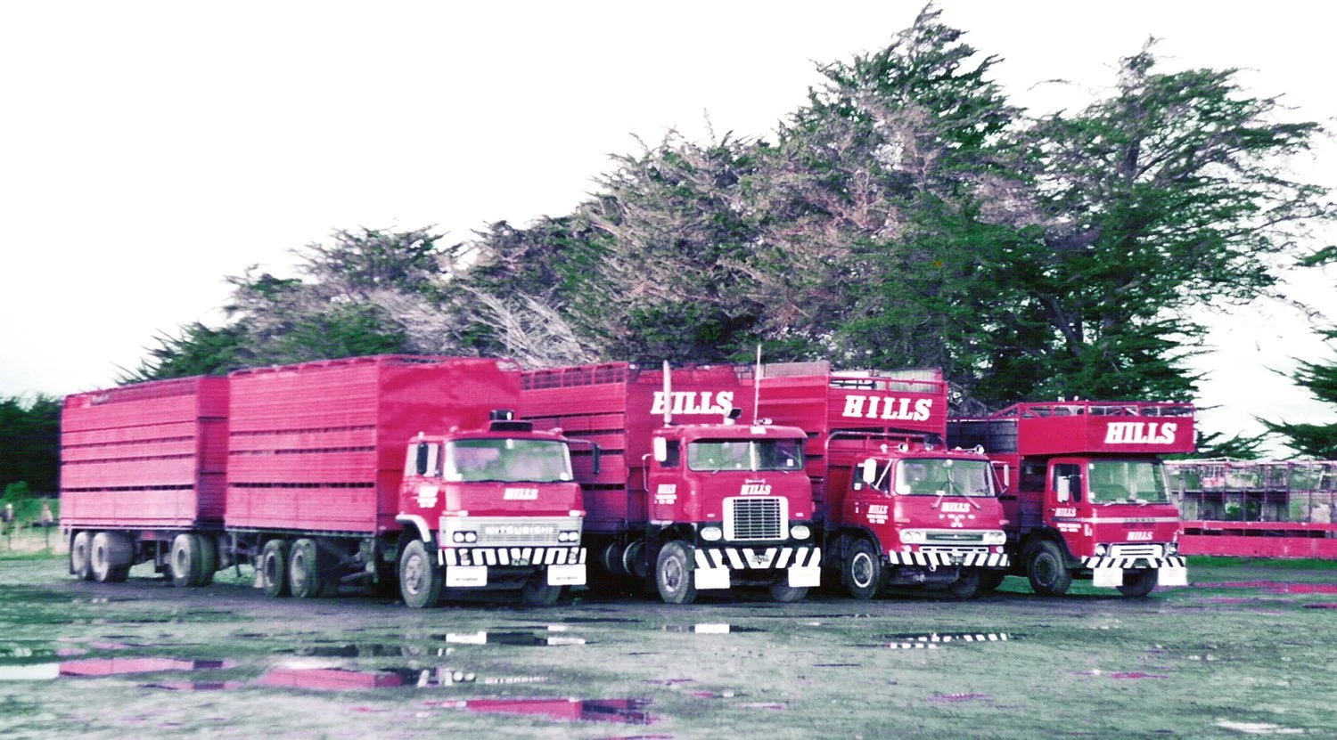 hillsfour 025.jpg