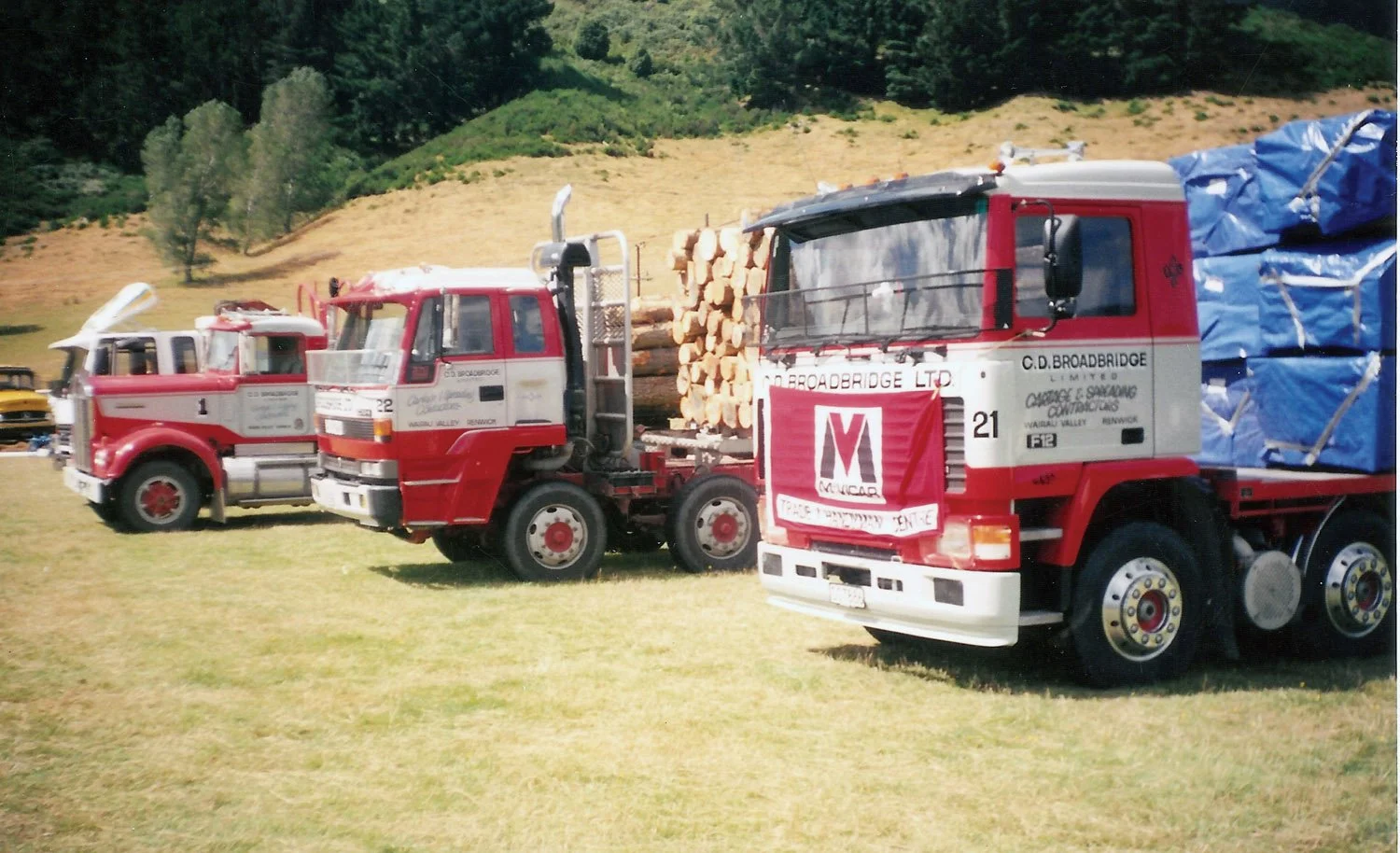 Rollin-wheels-CD-Broadbridge-Rai Valley-Show-1994.jpg