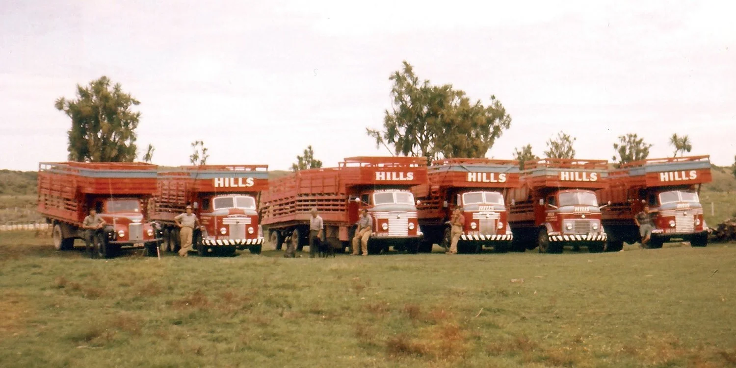 Rollin-Wheels-Hills-Carrying-Fleet-11.jpg