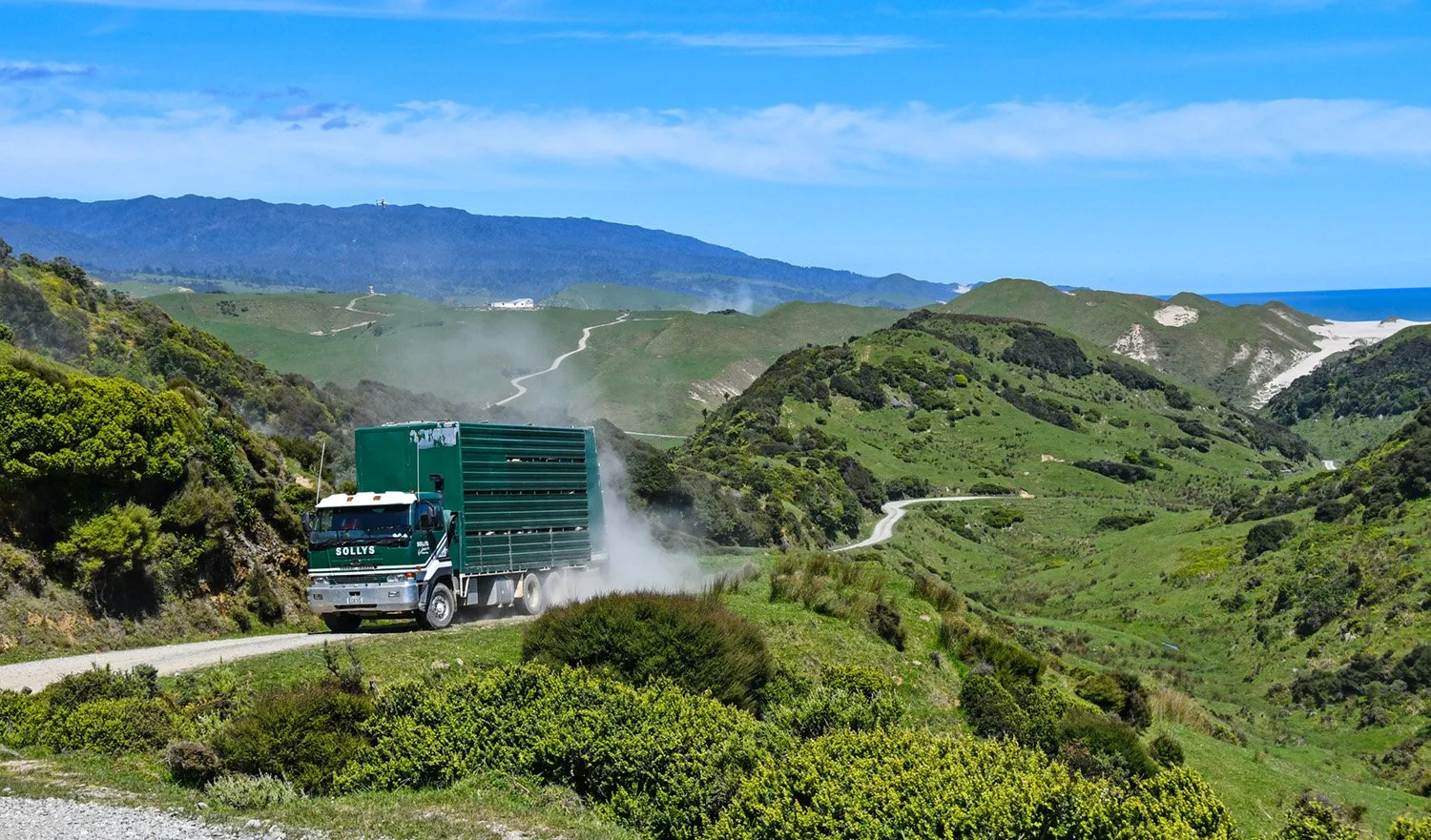 A green and white stock truck climbing up a shingle road and kicking up dustnwith rolling hills and a beach in the background