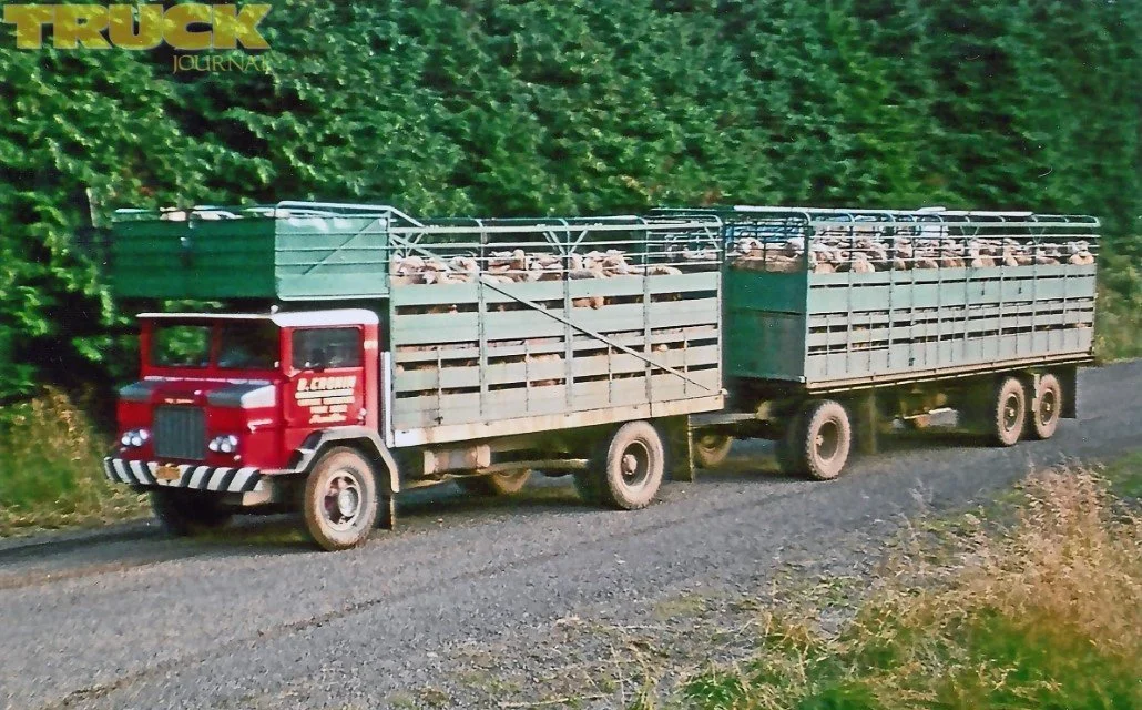 Rollin-Wheels-Truck-Journal-Archive-B-Cronin-International-AACO-10.jpg
