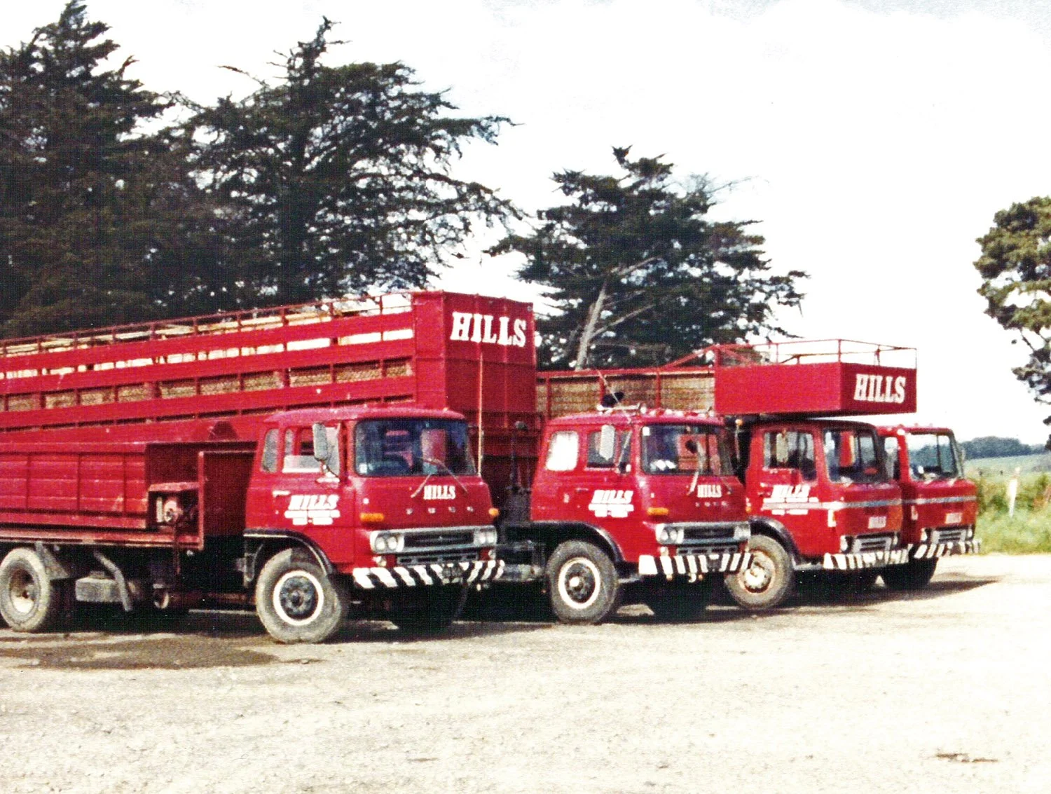 hillsfour 011.jpg