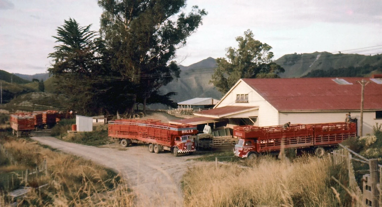 scan0008 (2).jpg