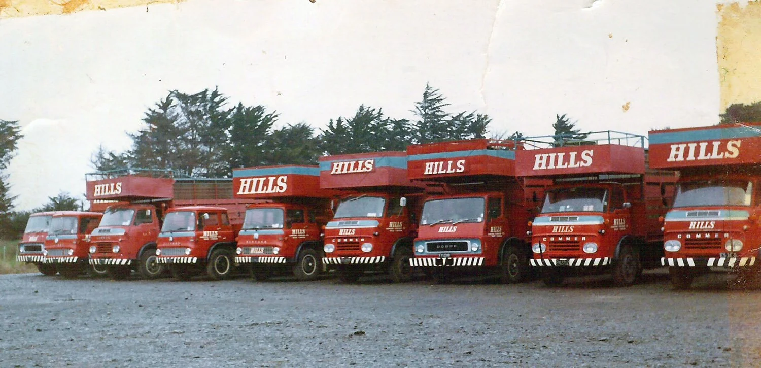 Rollin-Wheels-Hills-Carrying-fleet-3.jpg