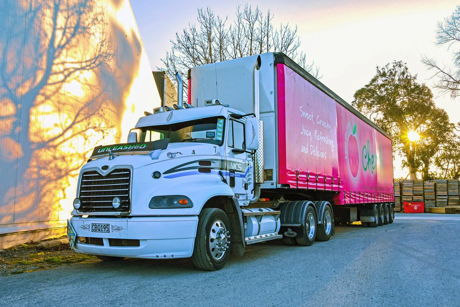 A white truck with a pink curtainside trailer sitting in a shingle yard with a cool store, trees and apple boxes in the background