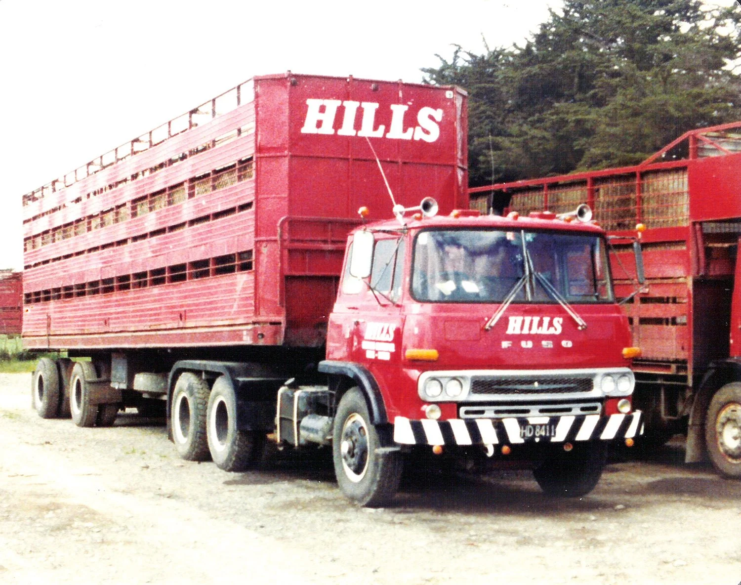 hillsfour 015.jpg
