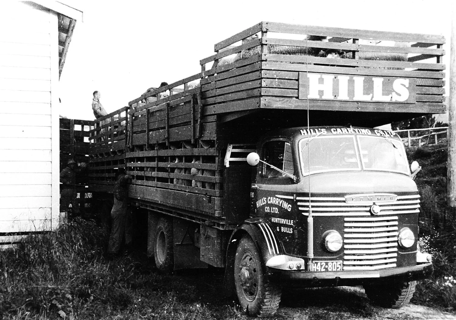 hillsthree 014.jpg