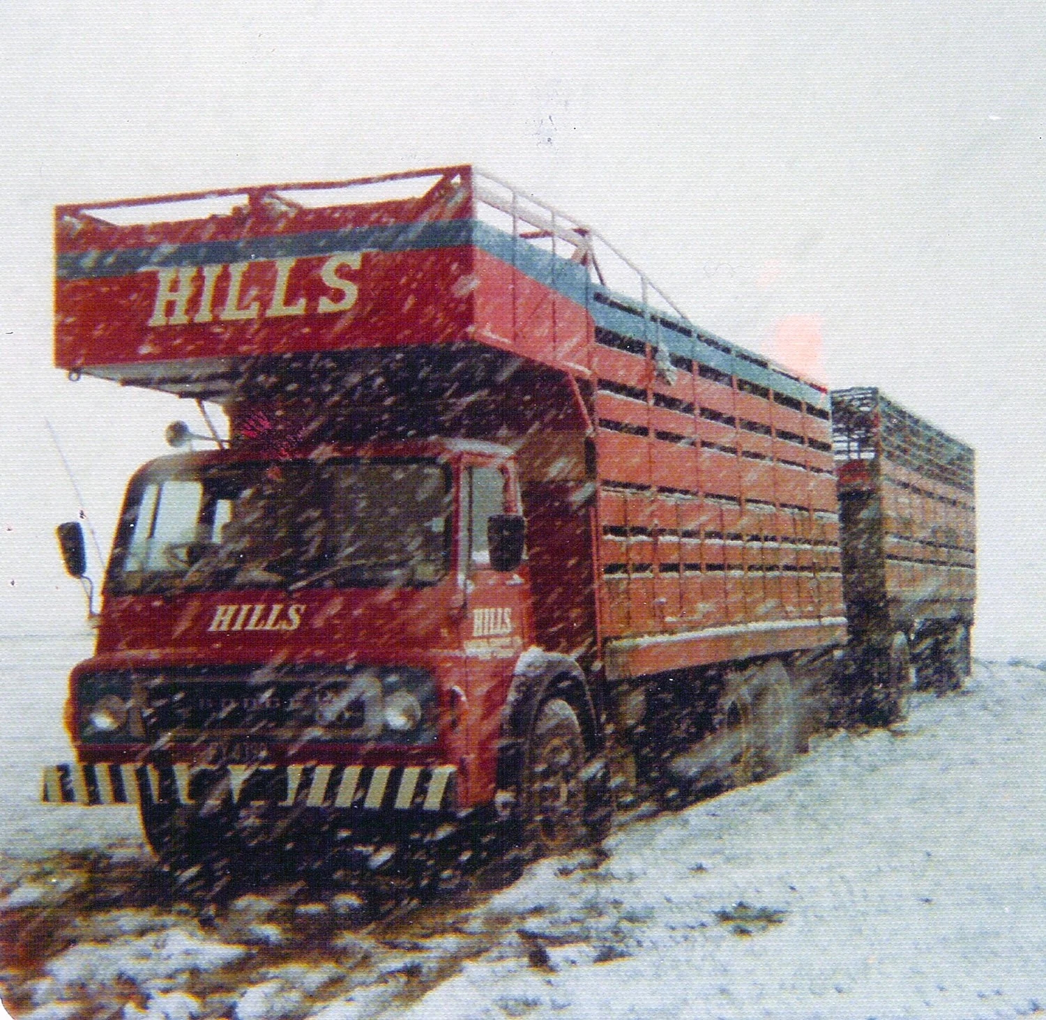 hillsfive 016.jpg