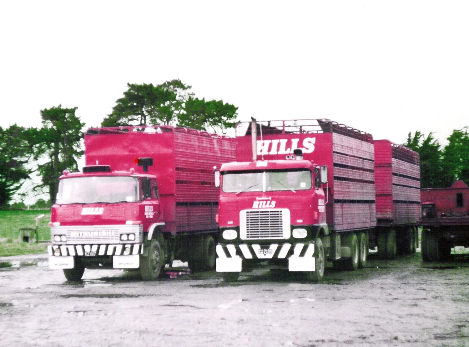 hillsfour 024.jpg