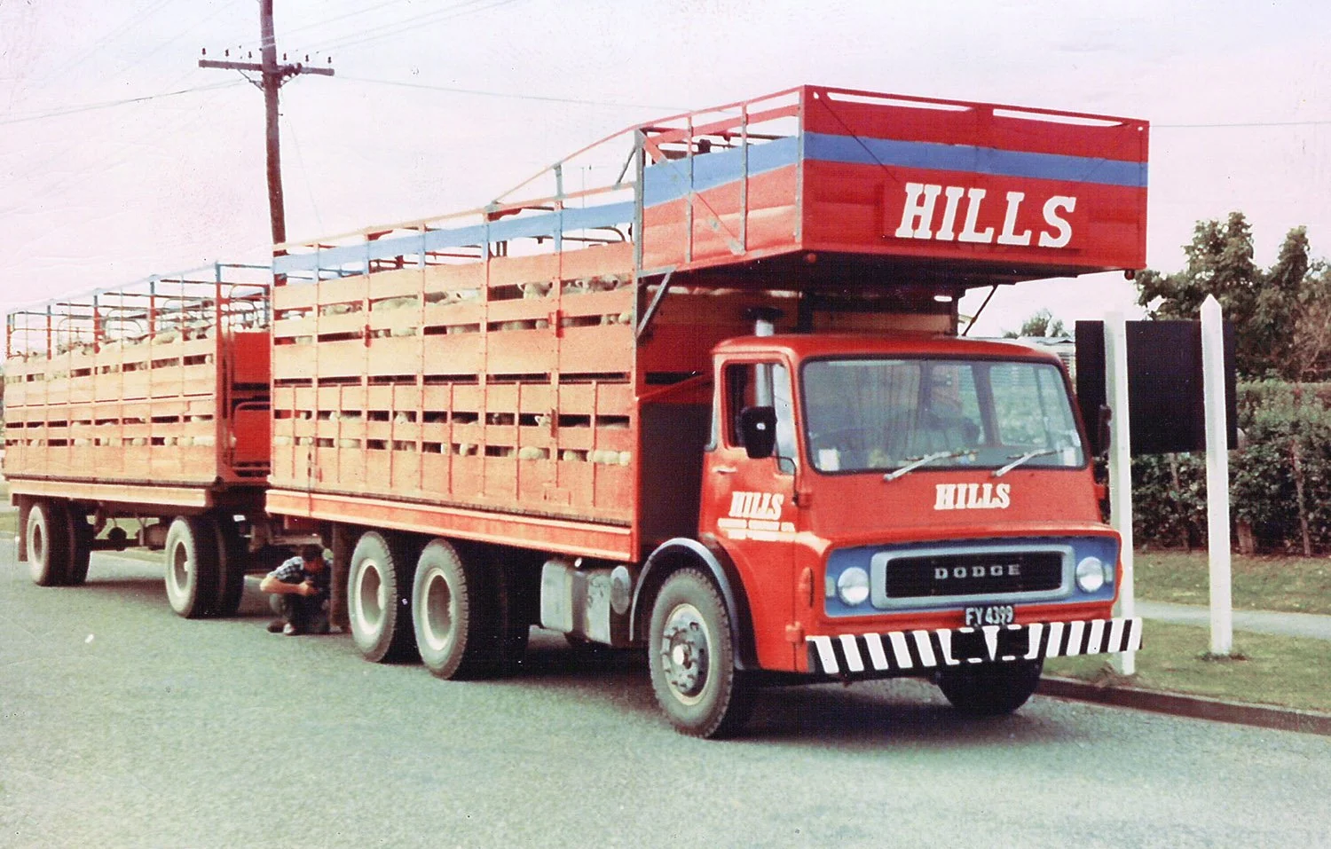 hillsthree 026.jpg