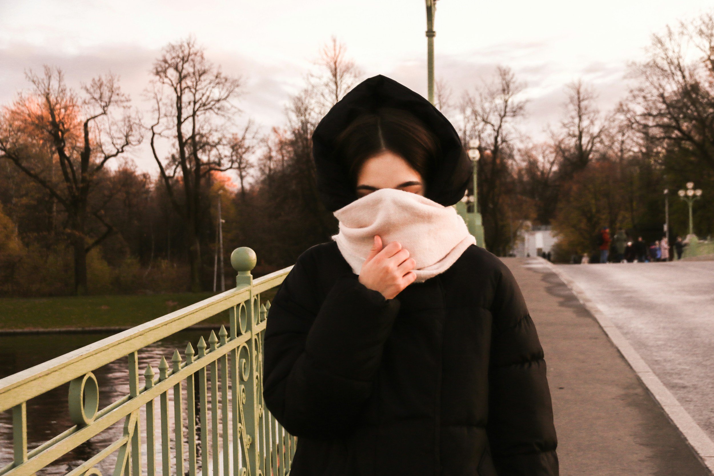 An Ayurvedic Guide to Home Care for Colds &amp; Sinus Congestion
