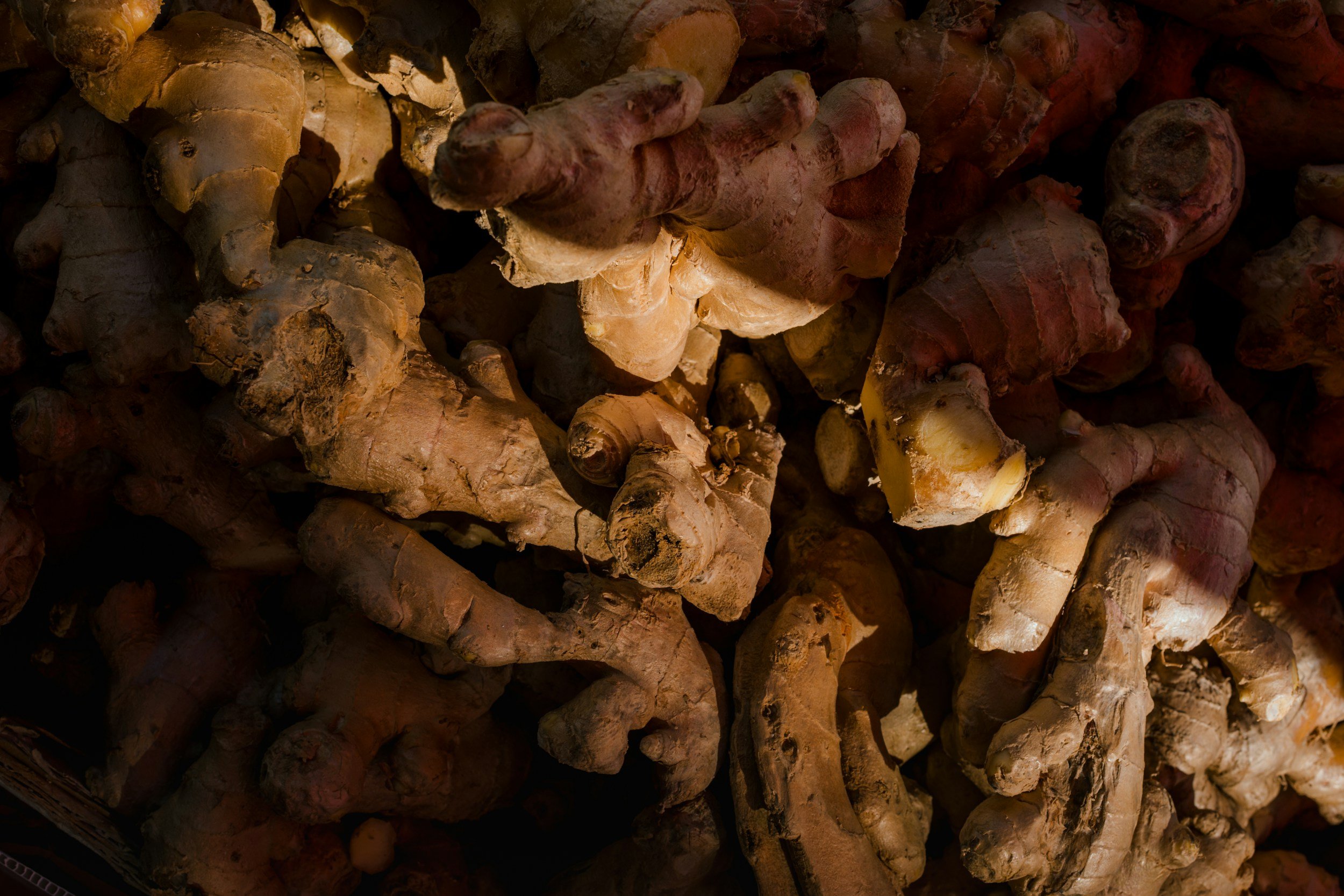 Everything You Need to Know About Gut Health in Ayurveda