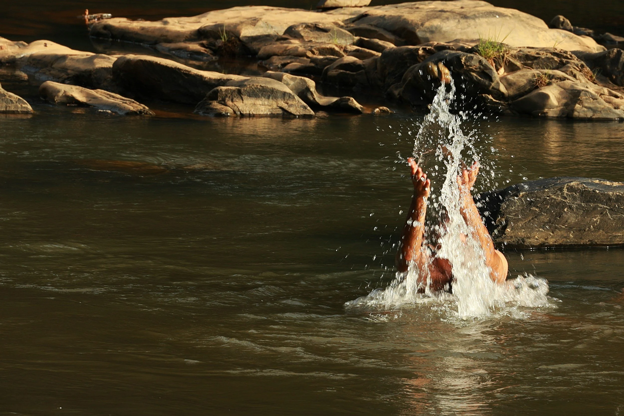 Cold Plunges, Contrast Therapy, and Varicose Veins