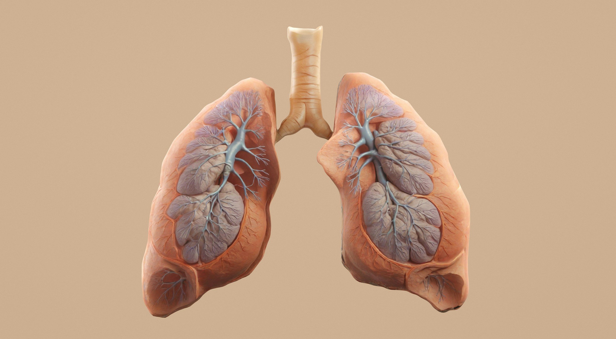 The Ayurvedic Management of Asthma