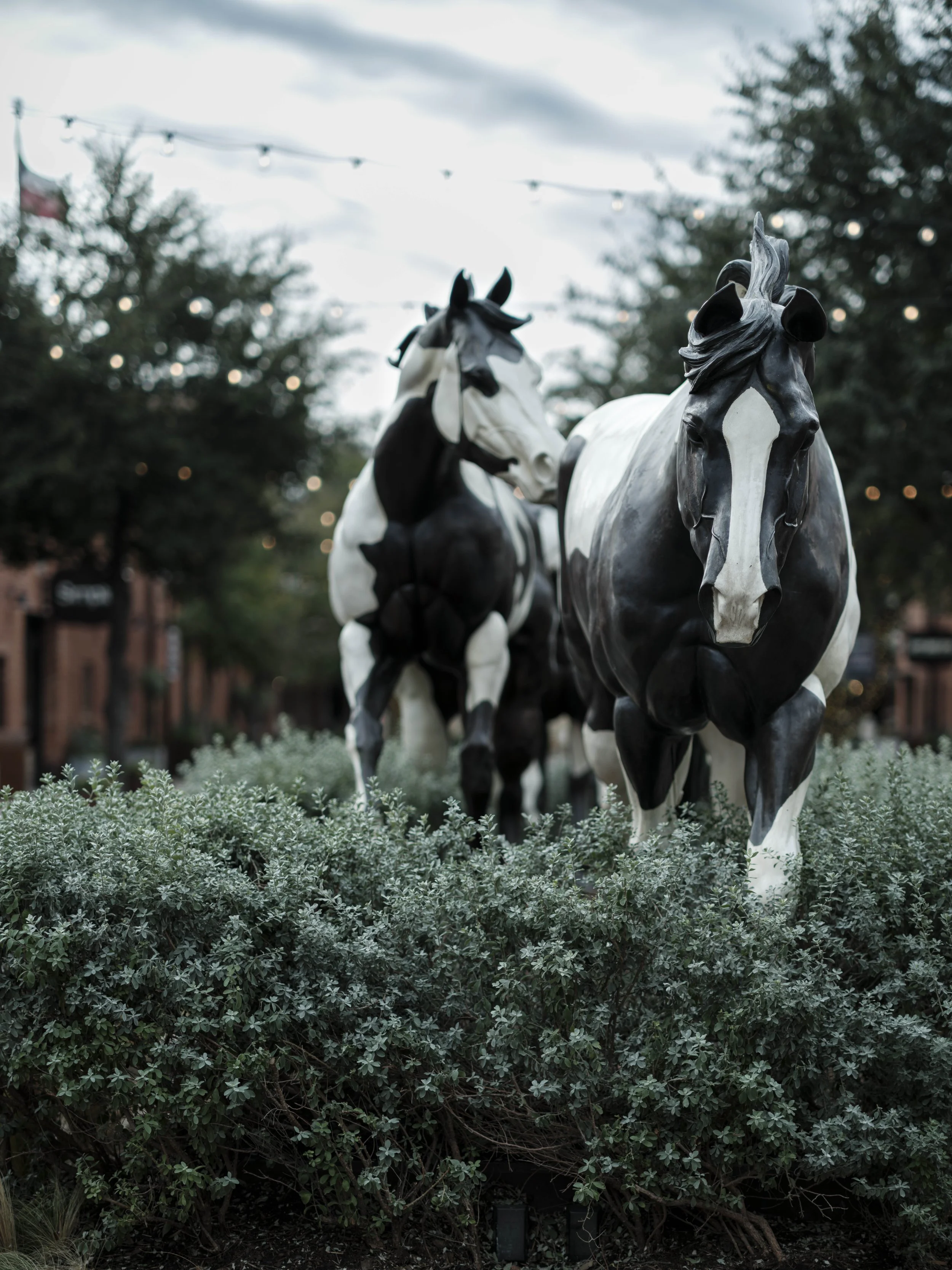 Two life-sized horse sculptures emerging from low hedges in an urban outdoor space, captured with shallow depth of field, soft evening light, and decorative string lights in the background, blending artificial forms with natural surroundings.