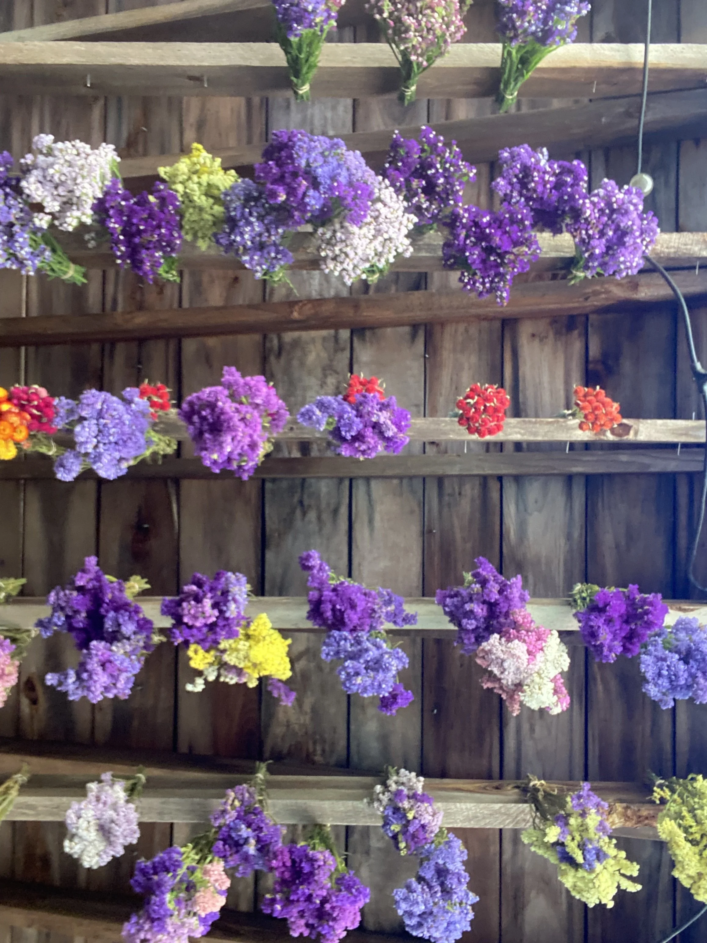 Flower Wreath Workshop - $55