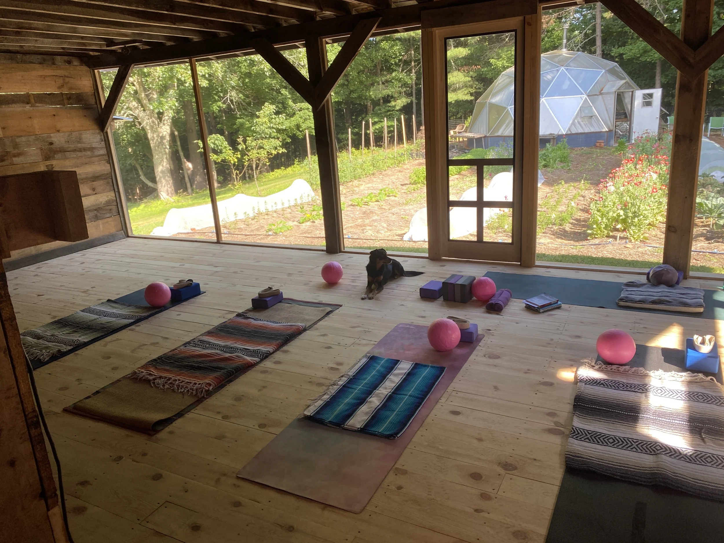 Yoga with Jennifer - $20