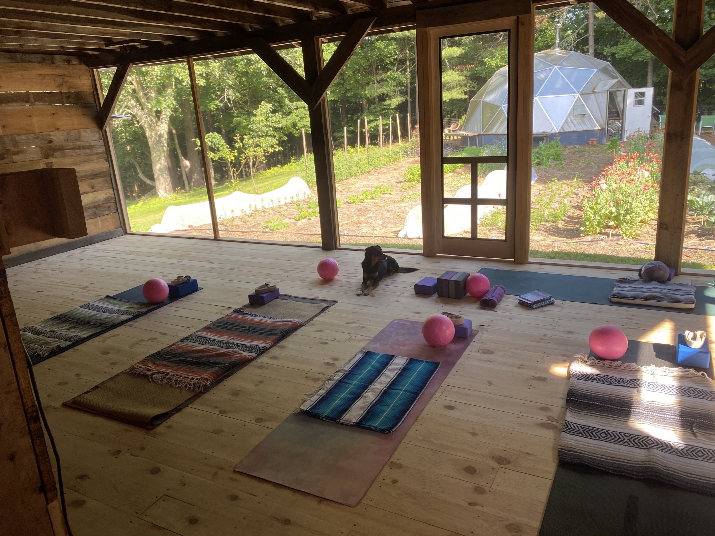 Yoga with Jennifer - $20