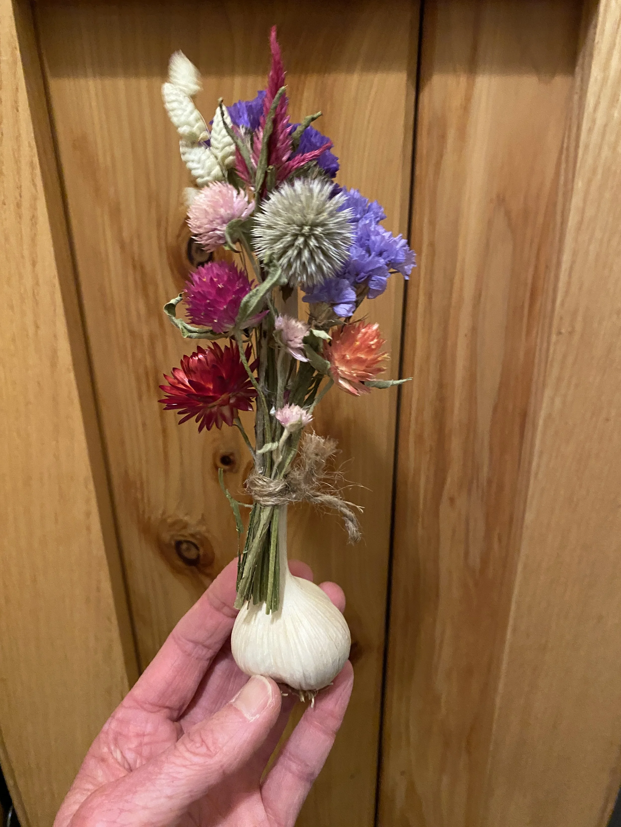Mini Garlic Arrangement.JPG