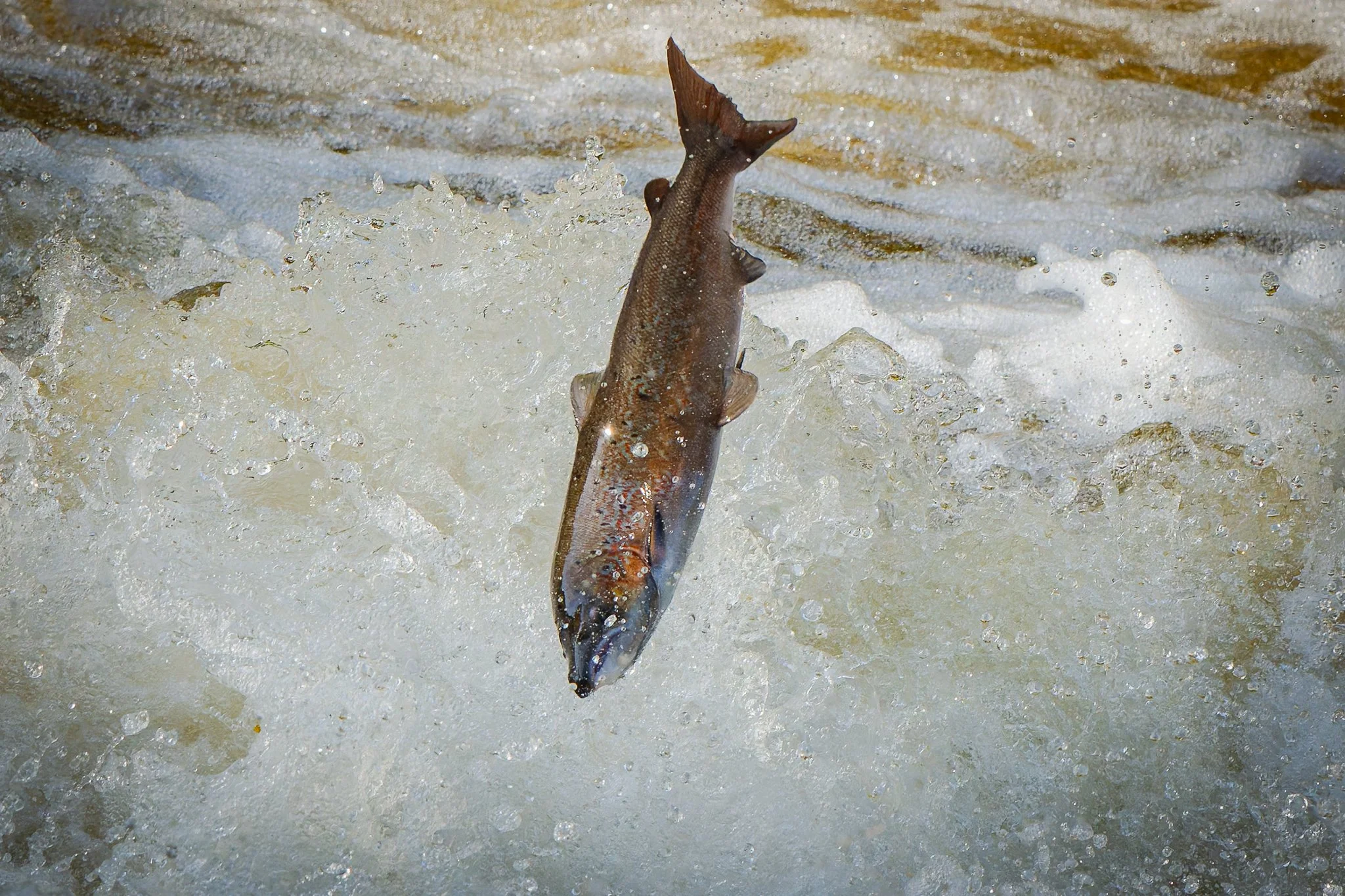 05.10.25 (16 of 45).jpg